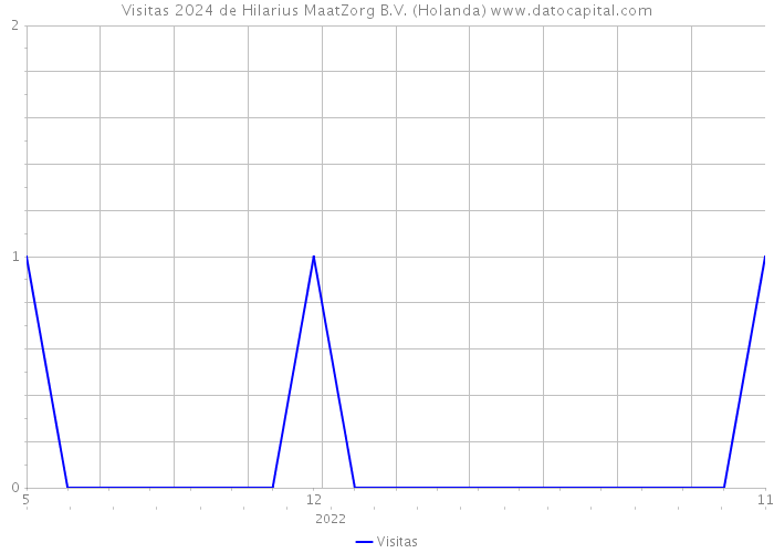 Visitas 2024 de Hilarius MaatZorg B.V. (Holanda) 