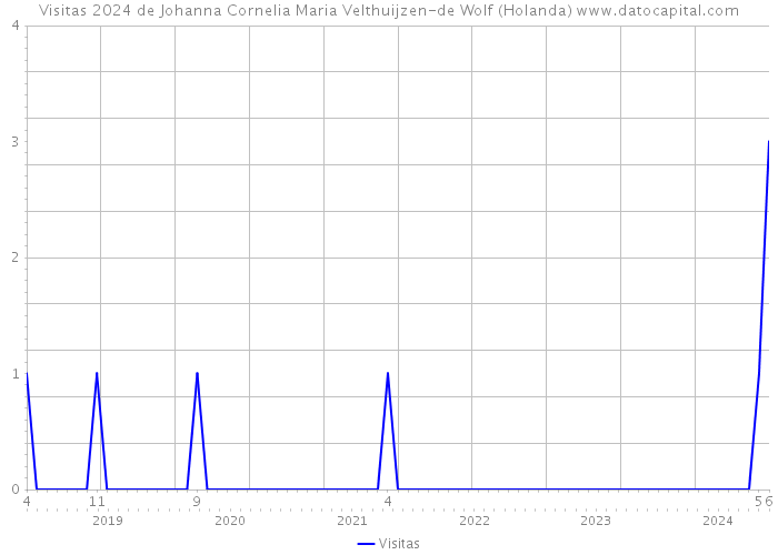 Visitas 2024 de Johanna Cornelia Maria Velthuijzen-de Wolf (Holanda) 
