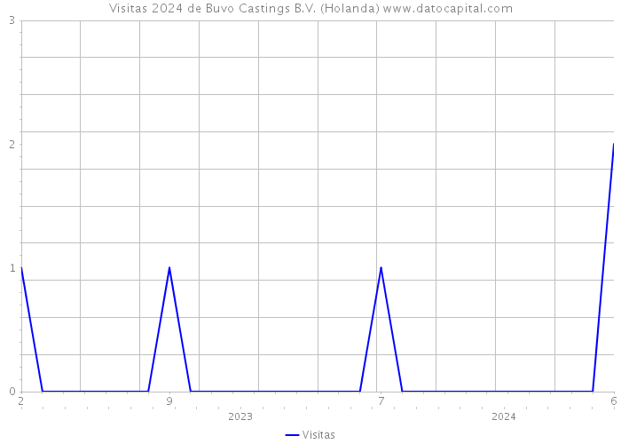 Visitas 2024 de Buvo Castings B.V. (Holanda) 