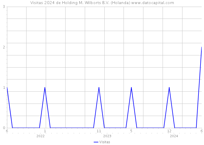 Visitas 2024 de Holding M. Wilborts B.V. (Holanda) 