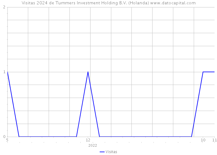 Visitas 2024 de Tummers Investment Holding B.V. (Holanda) 