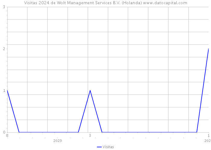 Visitas 2024 de Wolt Management Services B.V. (Holanda) 