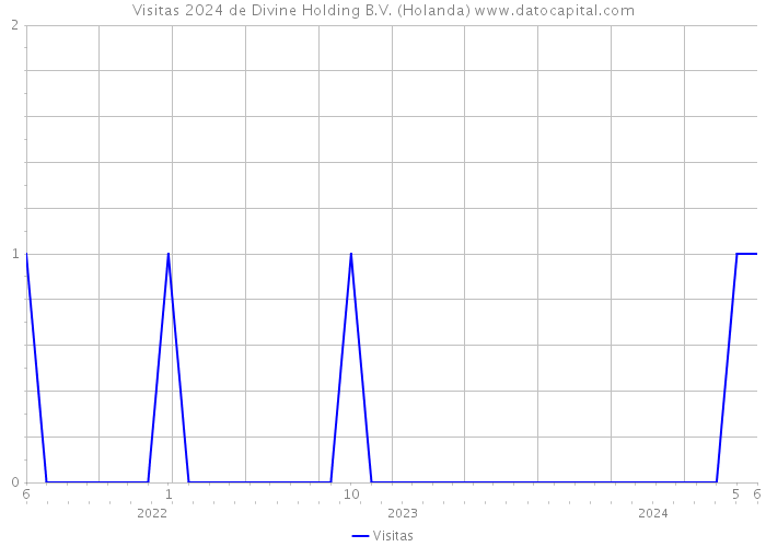 Visitas 2024 de Divine Holding B.V. (Holanda) 