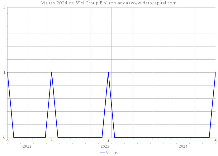 Visitas 2024 de BSM Group B.V. (Holanda) 