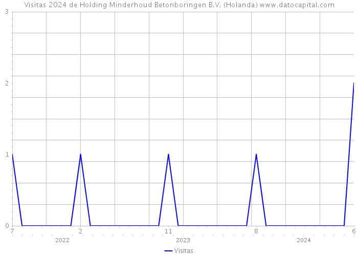 Visitas 2024 de Holding Minderhoud Betonboringen B.V. (Holanda) 
