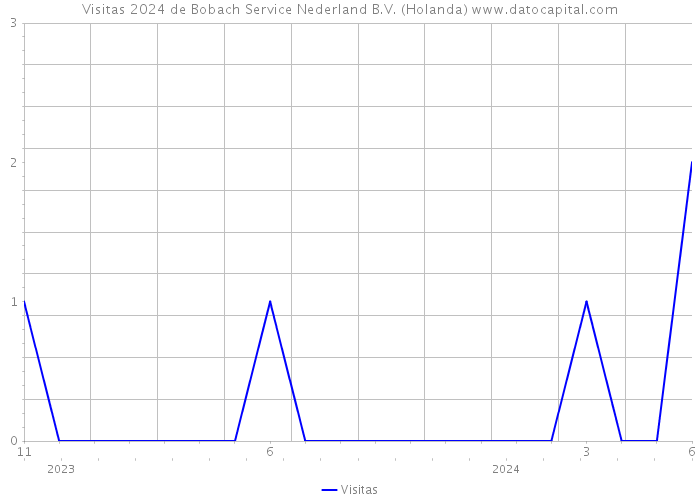 Visitas 2024 de Bobach Service Nederland B.V. (Holanda) 