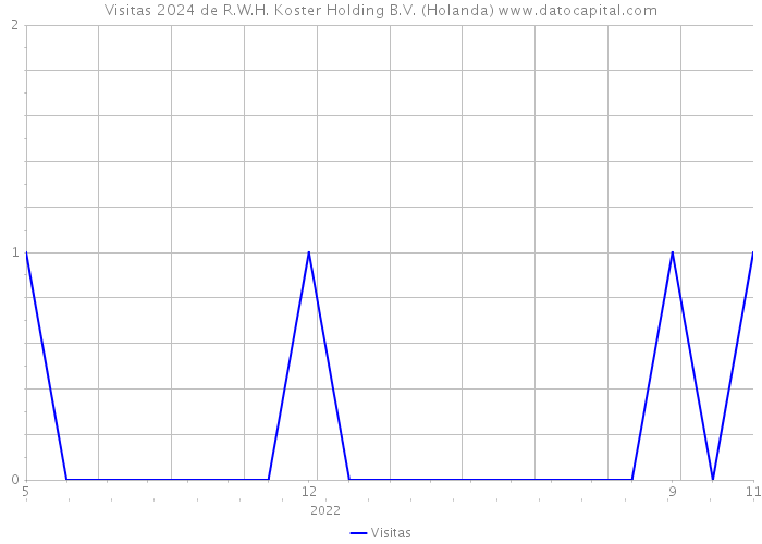 Visitas 2024 de R.W.H. Koster Holding B.V. (Holanda) 