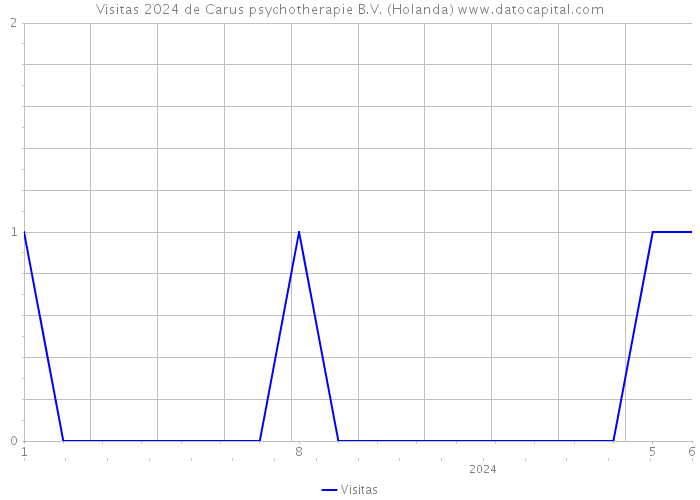 Visitas 2024 de Carus psychotherapie B.V. (Holanda) 