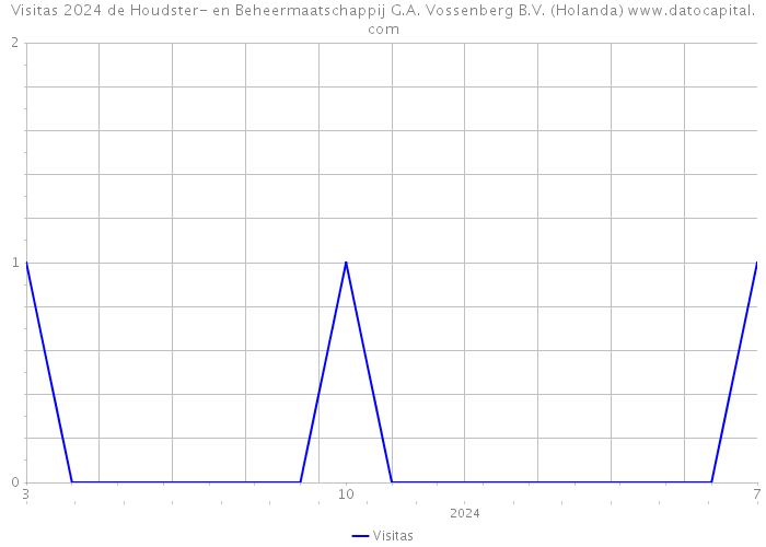 Visitas 2024 de Houdster- en Beheermaatschappij G.A. Vossenberg B.V. (Holanda) 