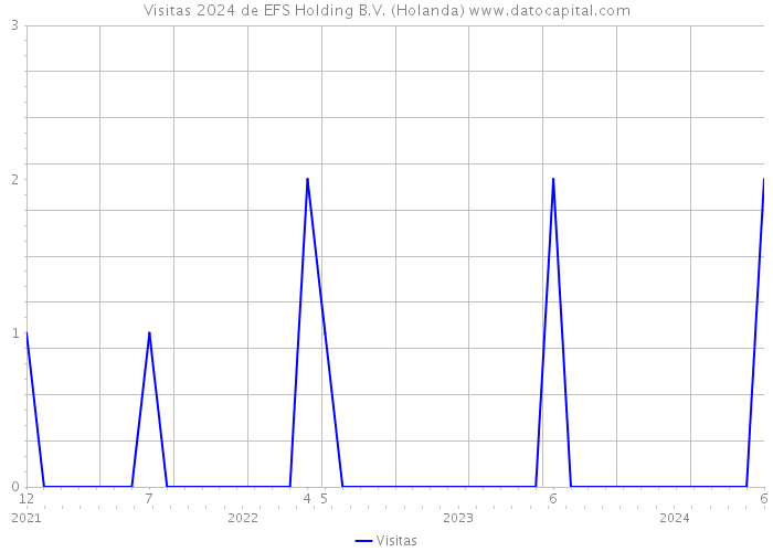 Visitas 2024 de EFS Holding B.V. (Holanda) 