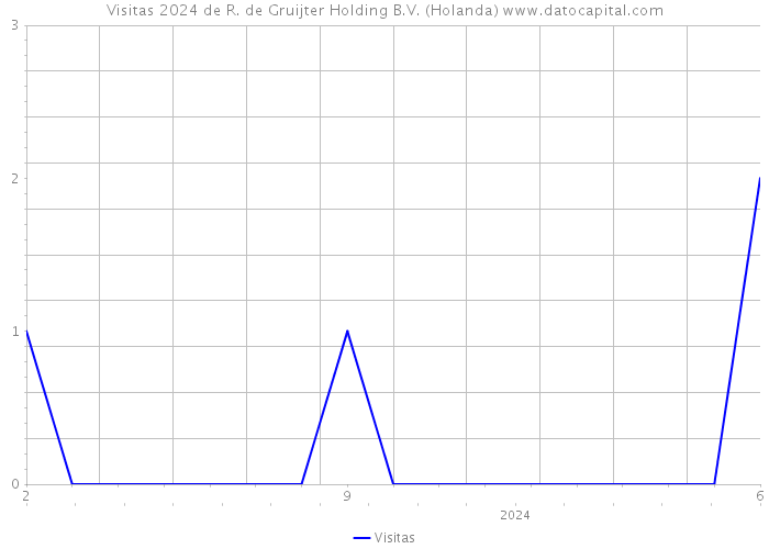 Visitas 2024 de R. de Gruijter Holding B.V. (Holanda) 