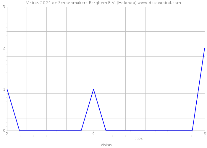 Visitas 2024 de Schoenmakers Berghem B.V. (Holanda) 