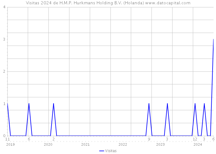 Visitas 2024 de H.M.P. Hurkmans Holding B.V. (Holanda) 