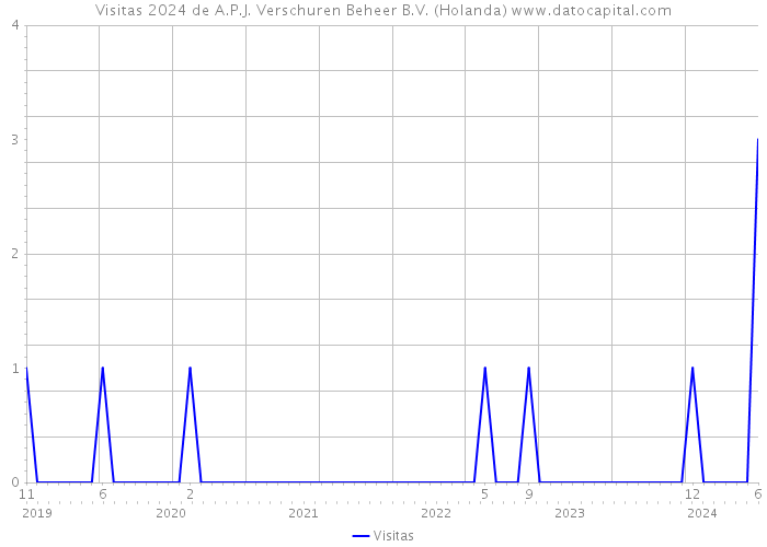 Visitas 2024 de A.P.J. Verschuren Beheer B.V. (Holanda) 