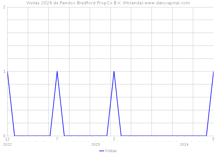 Visitas 2024 de Pandox Bradford PropCo B.V. (Holanda) 