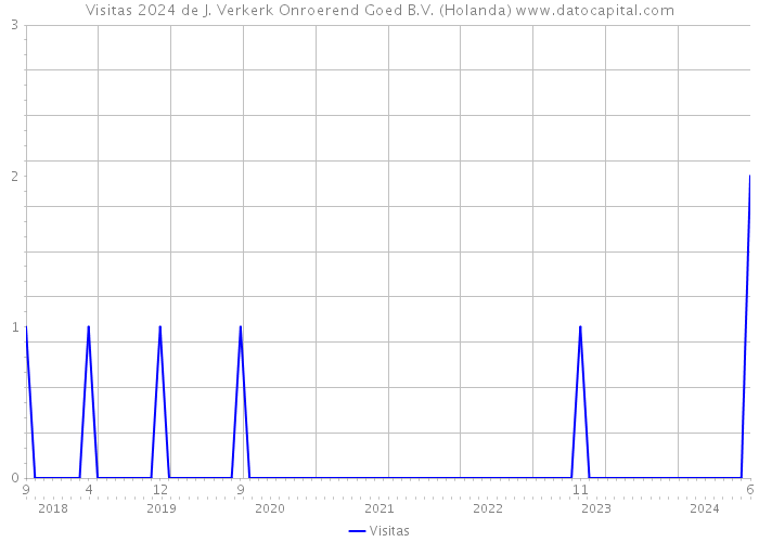 Visitas 2024 de J. Verkerk Onroerend Goed B.V. (Holanda) 