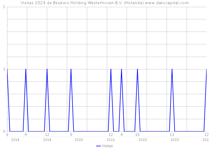 Visitas 2024 de Beukers Holding Westerhoven B.V. (Holanda) 