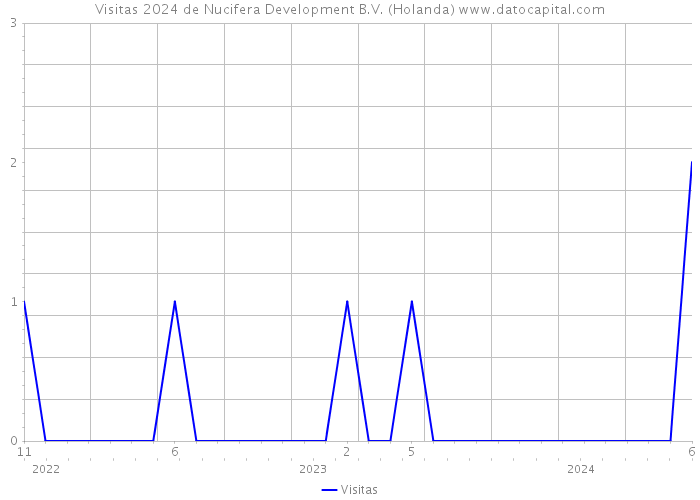 Visitas 2024 de Nucifera Development B.V. (Holanda) 