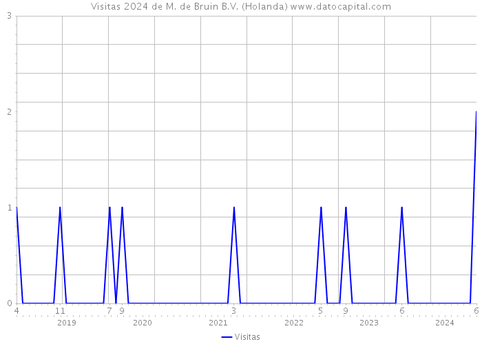 Visitas 2024 de M. de Bruin B.V. (Holanda) 