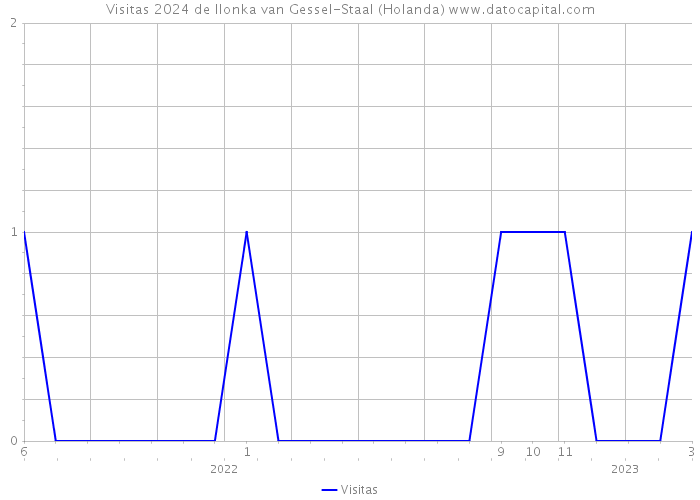 Visitas 2024 de Ilonka van Gessel-Staal (Holanda) 