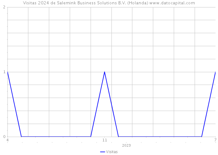 Visitas 2024 de Salemink Business Solutions B.V. (Holanda) 