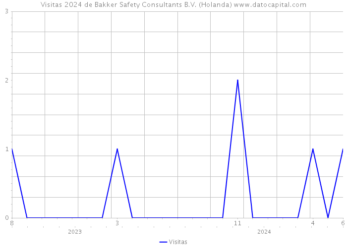 Visitas 2024 de Bakker Safety Consultants B.V. (Holanda) 