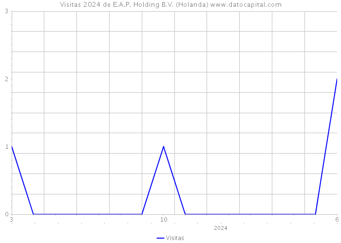 Visitas 2024 de E.A.P. Holding B.V. (Holanda) 