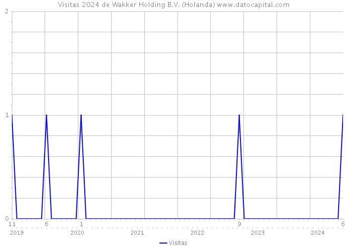 Visitas 2024 de Wakker Holding B.V. (Holanda) 