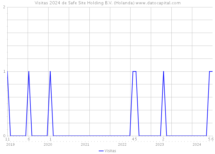 Visitas 2024 de Safe Site Holding B.V. (Holanda) 