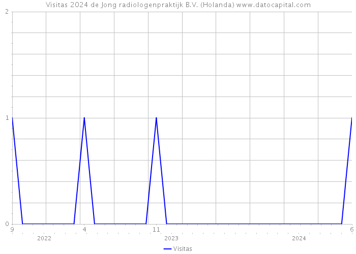 Visitas 2024 de Jong radiologenpraktijk B.V. (Holanda) 