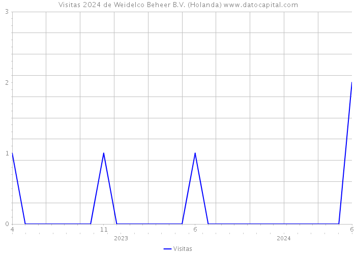 Visitas 2024 de Weidelco Beheer B.V. (Holanda) 