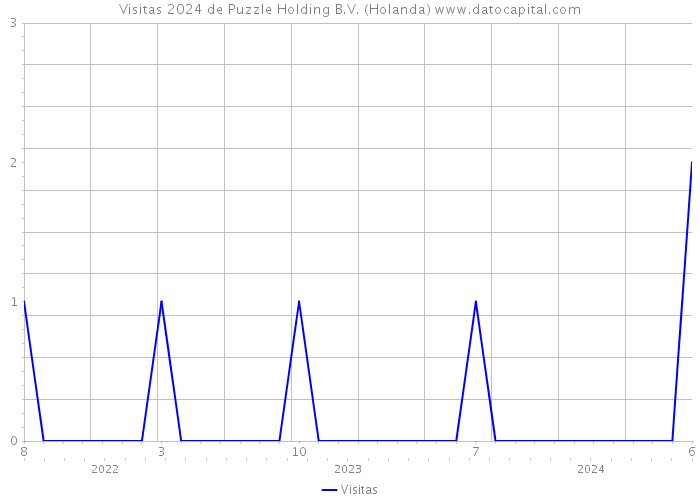 Visitas 2024 de Puzzle Holding B.V. (Holanda) 