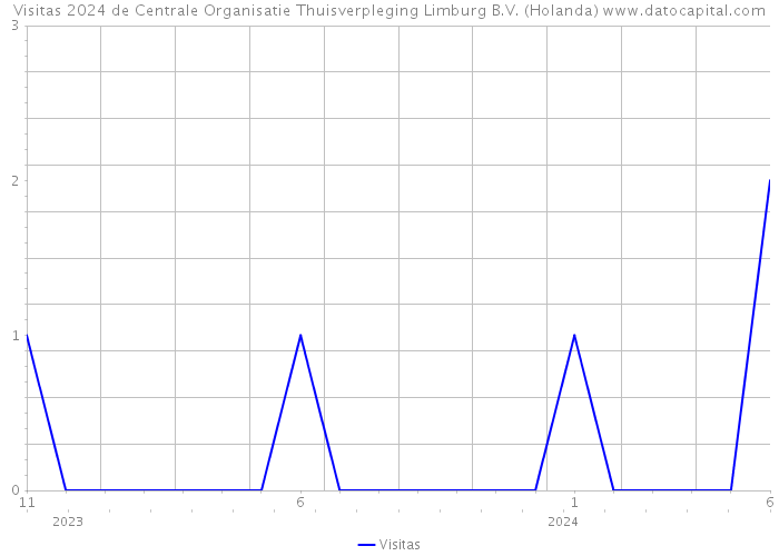 Visitas 2024 de Centrale Organisatie Thuisverpleging Limburg B.V. (Holanda) 