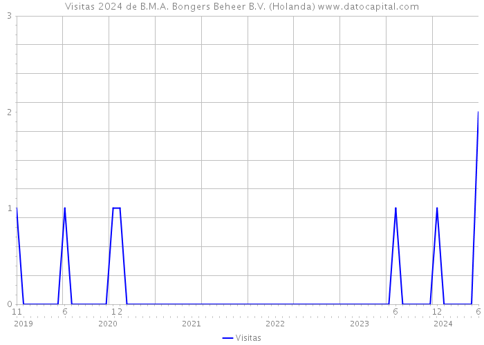 Visitas 2024 de B.M.A. Bongers Beheer B.V. (Holanda) 