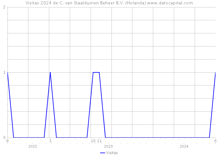 Visitas 2024 de C. van Staalduinen Beheer B.V. (Holanda) 