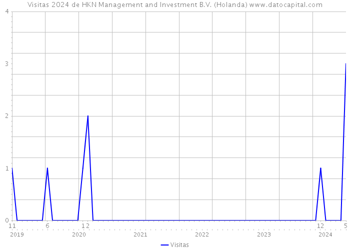 Visitas 2024 de HKN Management and Investment B.V. (Holanda) 