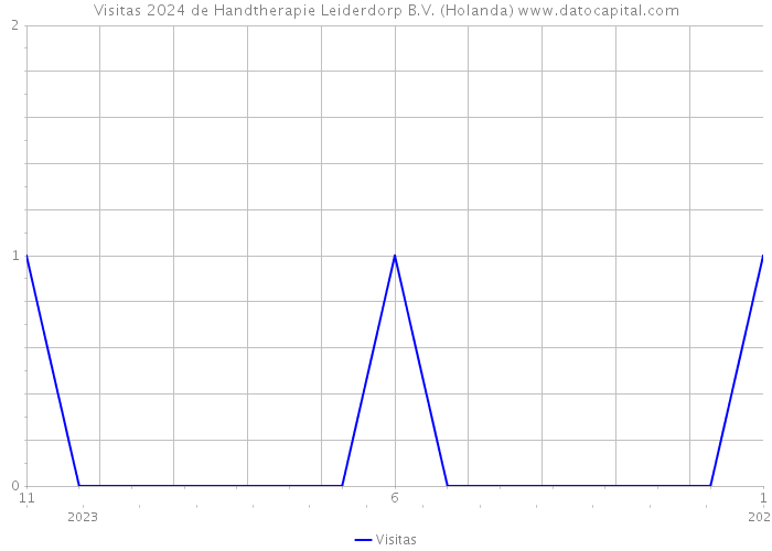 Visitas 2024 de Handtherapie Leiderdorp B.V. (Holanda) 