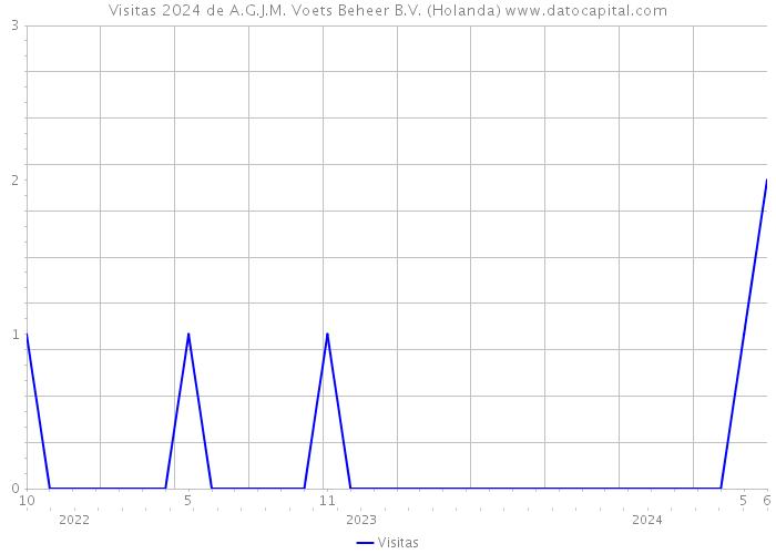 Visitas 2024 de A.G.J.M. Voets Beheer B.V. (Holanda) 