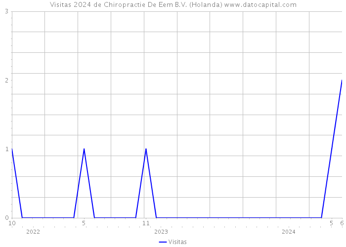 Visitas 2024 de Chiropractie De Eem B.V. (Holanda) 