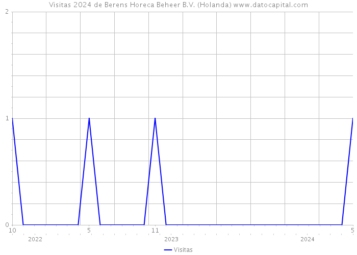 Visitas 2024 de Berens Horeca Beheer B.V. (Holanda) 