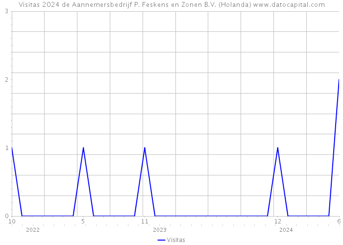 Visitas 2024 de Aannemersbedrijf P. Feskens en Zonen B.V. (Holanda) 