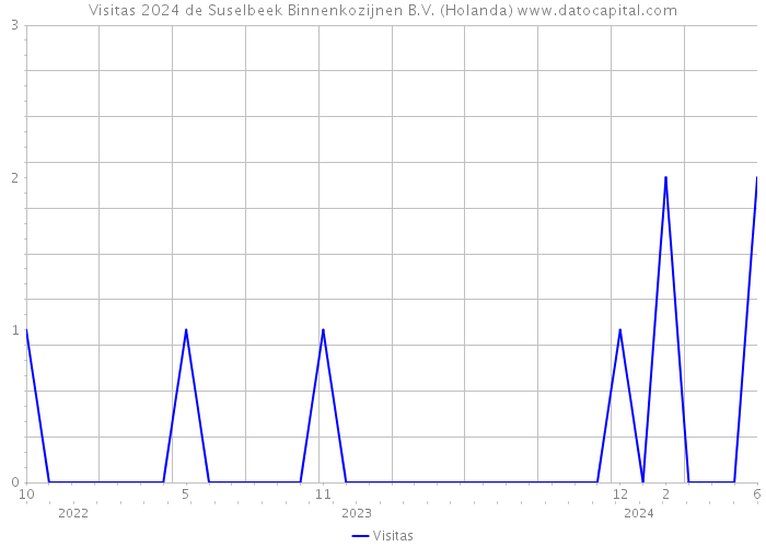 Visitas 2024 de Suselbeek Binnenkozijnen B.V. (Holanda) 