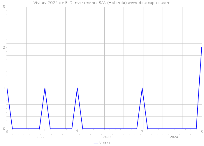 Visitas 2024 de BLD Investments B.V. (Holanda) 