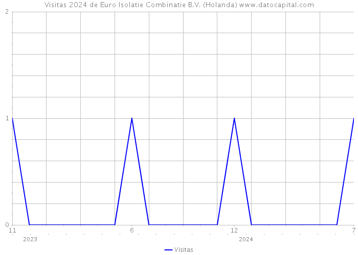 Visitas 2024 de Euro Isolatie Combinatie B.V. (Holanda) 