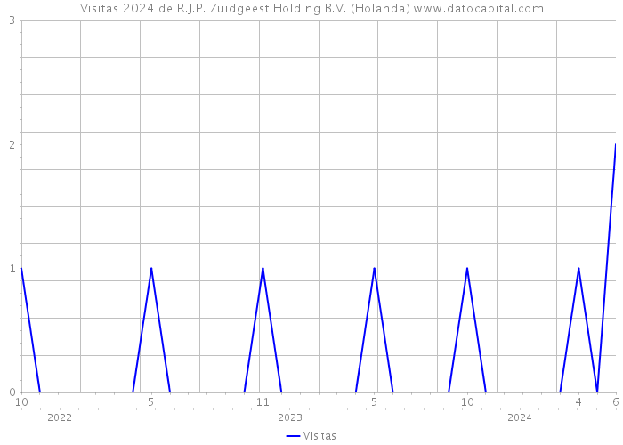 Visitas 2024 de R.J.P. Zuidgeest Holding B.V. (Holanda) 