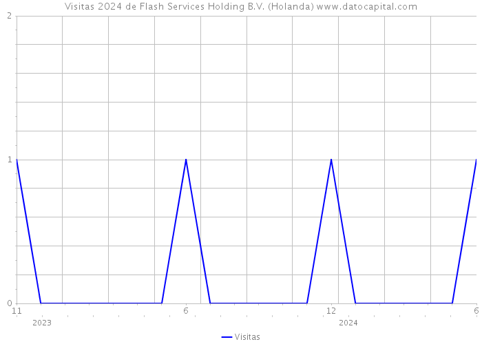 Visitas 2024 de Flash Services Holding B.V. (Holanda) 