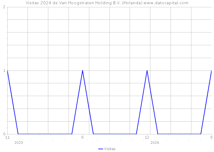 Visitas 2024 de Van Hoogstraten Holding B.V. (Holanda) 