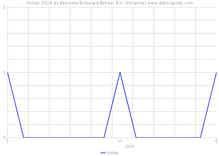 Visitas 2024 de Beersma Bolsward Beheer B.V. (Holanda) 