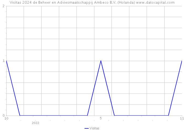 Visitas 2024 de Beheer en Adviesmaatschappij Ambeco B.V. (Holanda) 