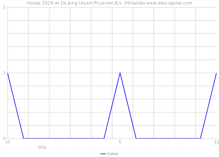 Visitas 2024 de De Jong Ursem Projecten B.V. (Holanda) 